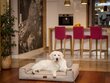 Hobbydog guļvieta Glamour New Cappuccino Inari, L, 78x53 cm cena un informācija | Suņu gultas, spilveni, būdas | 220.lv
