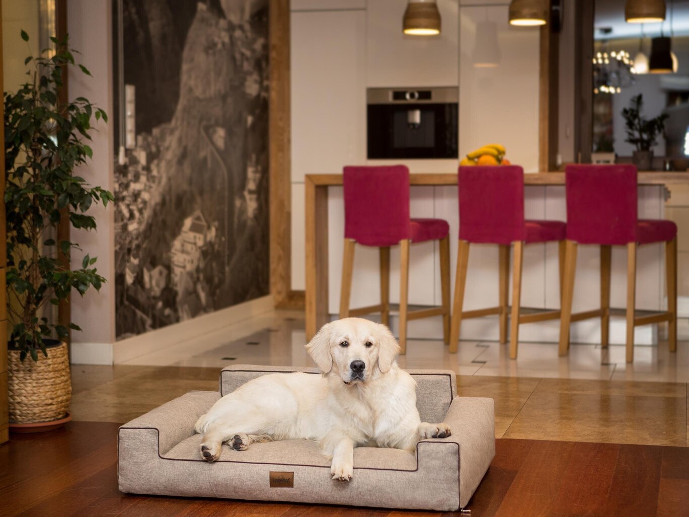Hobbydog guļvieta Glamour New Cappuccino Inari, XL, 98x66 cm cena un informācija | Suņu gultas, spilveni, būdas | 220.lv