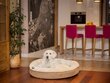 Hobbydog guļvieta Rabbit Beige, XL, 75x75 cm cena un informācija | Suņu gultas, spilveni, būdas | 220.lv