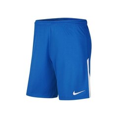 Шорты для мальчиков Nike League II Jr BV6863-463 цена и информация | Zēnu šorti | 220.lv