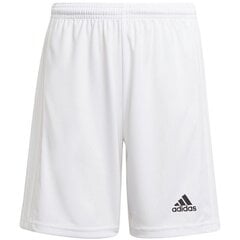 Спортивные шорты для мальчиков Adidas Squadra 21 Short Youth Jr GN5765, белые цена и информация | Шорты для мальчиков | 220.lv