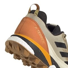Мужские туристические ботинки, Adidas Terrex Skychaser LT M FV6836 бежевые цена и информация | Мужские ботинки | 220.lv