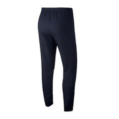 Nike мужские спортивные штаны Dry Academy M AR7654 452, синие цена и информация | Мужская спортивная одежда | 220.lv
