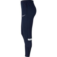 Vīriešu sporta bikses Nike Dri-FIT Academy M CW6122-451, zili цена и информация | Мужская спортивная одежда | 220.lv