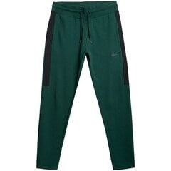 Мужские спортивные брюки 4F M H4L21 SPMD013 40S, зеленые цена и информация | Мужская спортивная одежда | 220.lv