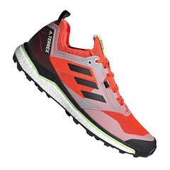 Походные ботинки мужские, Adidas Terrex Agravic XT M EF2109 оранжевые цена и информация | Мужские ботинки | 220.lv