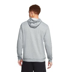 Džemperis vīriešiem Nike Swoosh, pelēks CJ4268-063 cena un informācija | Vīriešu jakas | 220.lv