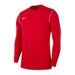 Džemperis zēniem Nike Park 20 Crew Jr BV6901-657 džemperis, 54370 цена и информация | Свитеры, жилетки, пиджаки для мальчиков | 220.lv