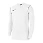 Džemperis zēniem Nike Park 20 Crew Jr BV6901-100, 54501 цена и информация | Zēnu jakas, džemperi, žaketes, vestes | 220.lv