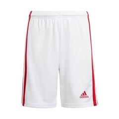 Шорты для мальчиков Adidas Squadra 21 Jr GN5763, белые цена и информация | Шорты для мальчиков | 220.lv