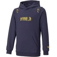 Джемпер для мальчиков Puma Neymar JR Hero Hoody Jr. 605545 06, темно-синий цена и информация | Свитеры, жилетки, пиджаки для мальчиков | 220.lv
