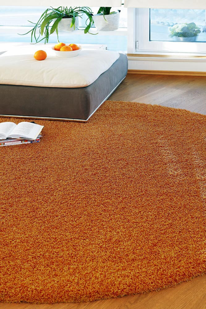 Narma bārkšu paklājs SPICE, caramel - dažādi izmēri, 67 x 133 cm cena un informācija | Paklāji | 220.lv