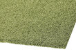 Narma bārkšu paklājs SPICE, zaļā krāsā - dažādi izmēri, 133 x 200 cm cena un informācija | Paklāji | 220.lv