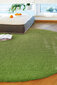 Narma bārkšu paklājs SPICE, zaļā krāsā - dažādi izmēri, 133 x 200 cm cena un informācija | Paklāji | 220.lv