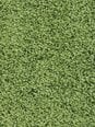 Narma bārkšu paklājs SPICE, zaļā krāsā - dažādi izmēri, 160 x 240 cm