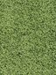 Narma bārkšu paklājs SPICE, zaļā krāsā - dažādi izmēri, 67 x 133 cm cena un informācija | Paklāji | 220.lv