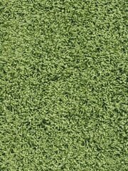 Narma bārkšu paklājs SPICE, zaļā krāsā - dažādi izmēri, Ø 200 cm cena un informācija | Paklāji | 220.lv