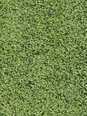 Narma bārkšu paklājs SPICE, zaļā krāsā - dažādi izmēri, Ø 200 cm