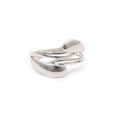 Серебряное кольцо SG15CR3450 цена и информация | Кольца | 220.lv