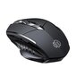 Inphic PM6 Wireless Mouse (Black) цена и информация | Peles | 220.lv