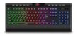 Gaming keyboard Havit KB487L cena un informācija | Klaviatūras | 220.lv