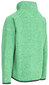 Džemperis zēniem Trespass, zaļš cena un informācija | Zēnu jakas, džemperi, žaketes, vestes | 220.lv