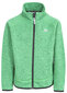 Džemperis zēniem Trespass, zaļš cena un informācija | Zēnu jakas, džemperi, žaketes, vestes | 220.lv