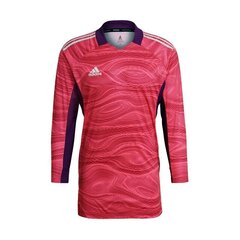 Sporta krekls vīriešiem Adidas Condivo 21 Goalkeeper M GT8420, rozā cena un informācija | Sporta apģērbs vīriešiem | 220.lv