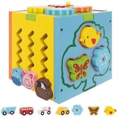 Учебно-воспитательный деревянный куб 5в1 цена и информация | Развивающие игрушки | 220.lv