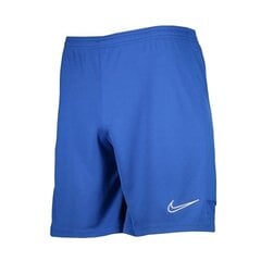 Nike шорты для мужчин Dry Academy 21 M CW6107-480, синие цена и информация | Мужская спортивная одежда | 220.lv