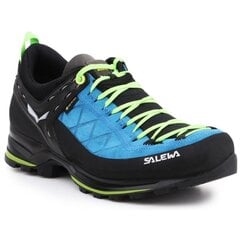 Pārgājienu apavi vīriešiem Salewa MS MTN Trainer 2 GTX цена и информация | Мужские ботинки | 220.lv