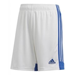 Спортивные шорты для мальчиков Adidas Tastigo 19 Jr FR0748, белые цена и информация | Шорты для мальчиков | 220.lv