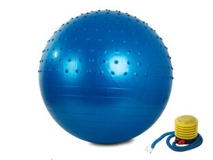 Мяч для фитнеса 55 см цена и информация | Гимнастические мячи | 220.lv