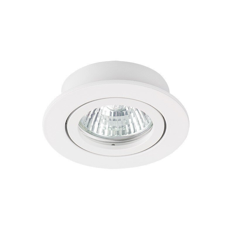 Lampa DALLA CT-DTO50-W IP20 цена и информация | Iebūvējamās lampas, LED paneļi | 220.lv