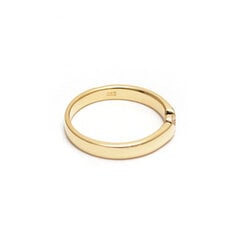 Золотое кольцо ZG546223 цена и информация | Кольца | 220.lv