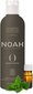 Šampūns taukainiem matiem Origins Noah, 250 ml cena un informācija | Šampūni | 220.lv
