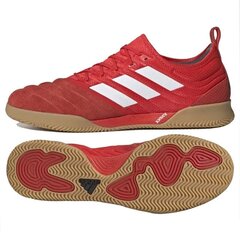 Футбольные бутсы Adidas Copa 20.1 IN G28623 цена и информация | Футбольные ботинки | 220.lv