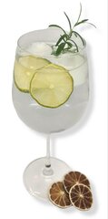 Bezalkoholiskā kokteiļa komplekts Džins ar toniku, 700 ml cena un informācija | Bezalkoholiskie dzērieni | 220.lv