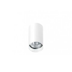 Azzardo потолочный светильник AZ1706 Mini Round цена и информация | Потолочные светильники | 220.lv