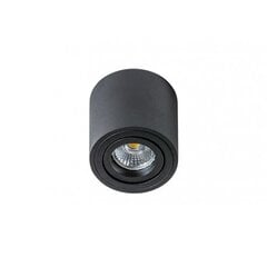 Azzardo потолочный светильник AZ1710 Mini Bross цена и информация | Потолочные светильники | 220.lv