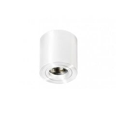 Azzardo потолочный светильник AZ1711 Mini Bross цена и информация | Потолочные светильники | 220.lv