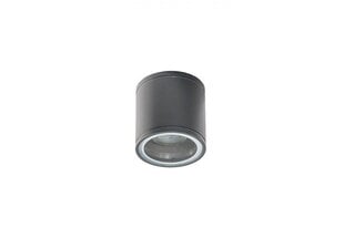 Azzardo потолочный светильник Joe Tube Grey AZ3313 цена и информация | Потолочный светильник | 220.lv