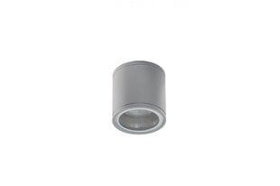 Azzardo потолочный светильник Joe Tube Bright Grey AZ3316 цена и информация | Потолочный светильник | 220.lv