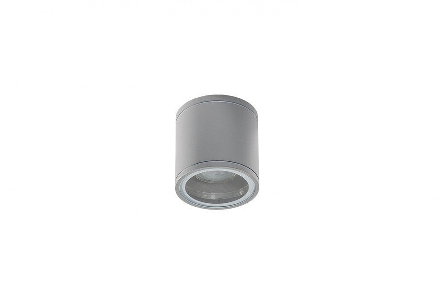 Azzardo griestu lampa Joe Tube Bright Grey AZ3316 cena un informācija | Griestu lampas | 220.lv