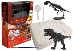 Jaunā arheologa komplekts ar dinozauru цена и информация | Развивающие игрушки | 220.lv