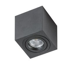 Azzardo потолочный светильник AZ1712 Mini Eloy цена и информация | Потолочный светильник | 220.lv