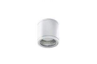 Azzardo griestu lampa Joe Tube White AZ3315 цена и информация | Потолочные светильники | 220.lv