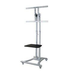 NewStar Mobile Flatscreen Floor Stand - (height: 80-180 см) цена и информация | Кронштейны и крепления для телевизоров | 220.lv