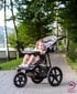 Skriešanas ratiņi + bērnu ratiņi 0 mēn.+ Moby-System MOUNTAIN cena un informācija | Bērnu rati | 220.lv