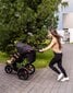 Skriešanas ratiņi + bērnu ratiņi 0 mēn.+ Moby-System MOUNTAIN цена и информация | Bērnu rati | 220.lv